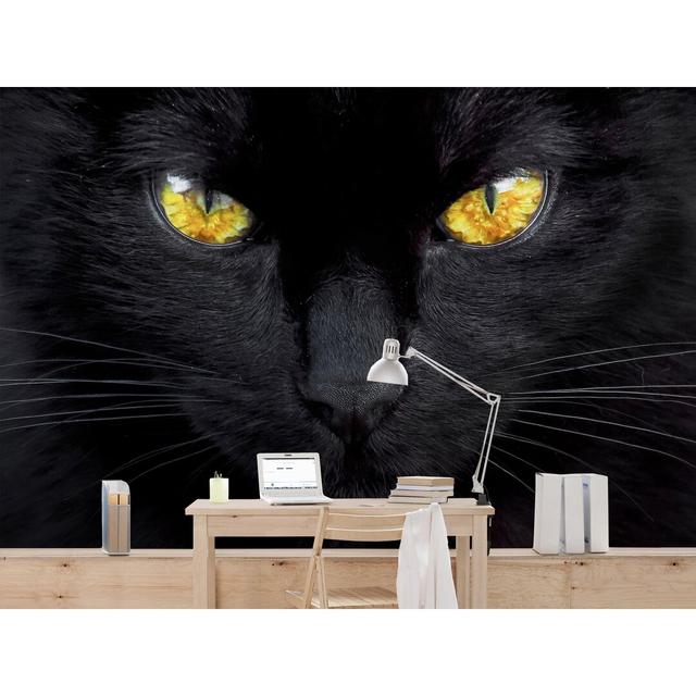 Hypnotic Cat Semi-Gloss Wallpaper Roll East Urban Home Materialqualität: Premium (150g/m²), Size: 3.36m x 225cm on Productcaster.