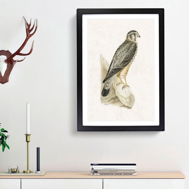 Merlin Falcon by Von Wright - Picture Frame Painting Print East Urban Home Frame Option: Black Framed, Size: 87cm H x 62cm W x 2cm D on Productcaster.