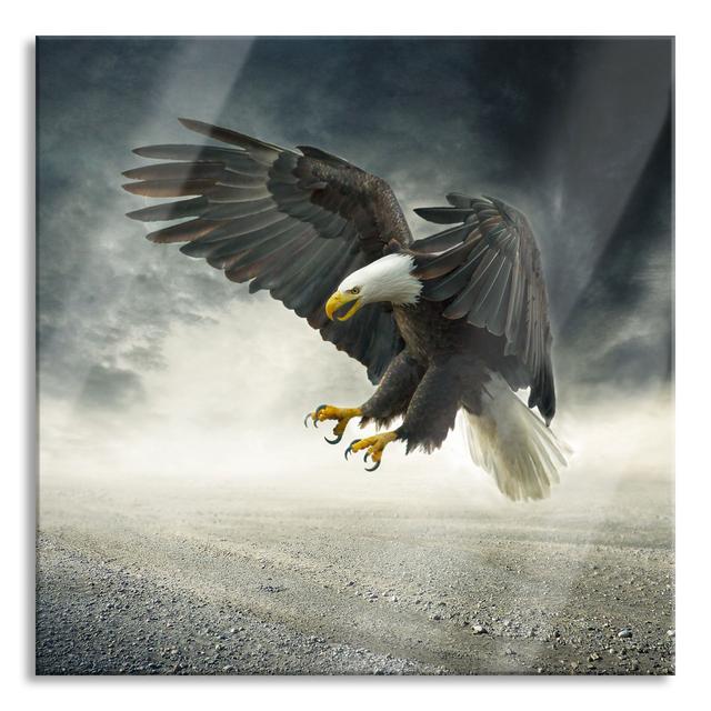 Attacking Eagle in a Stone Desert - Unframed Graphic Art on Glass Union Rustic Size: 60cm H x 60cm W x 0.4cm D on Productcaster.