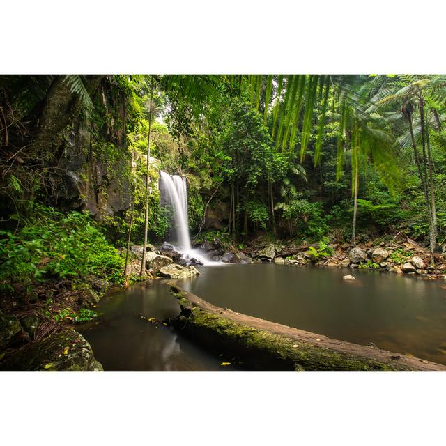 Curtis Falls In Mount by DarrenTierney - Wrapped Canvas Print Alpen Home Size: 20cm H x 30cm W on Productcaster.