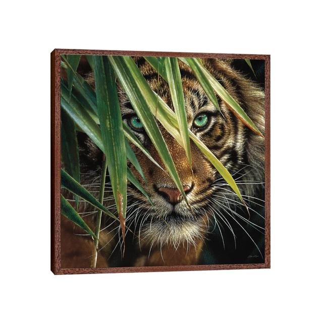 Tiger Eyes by Collin Bogle - Wrapped Canvas Graphic Art Ebern Designs Format: Classic Brown Wood Framed, Size: 66.04cm H x 66.04cm W x 3.81cm D on Productcaster.