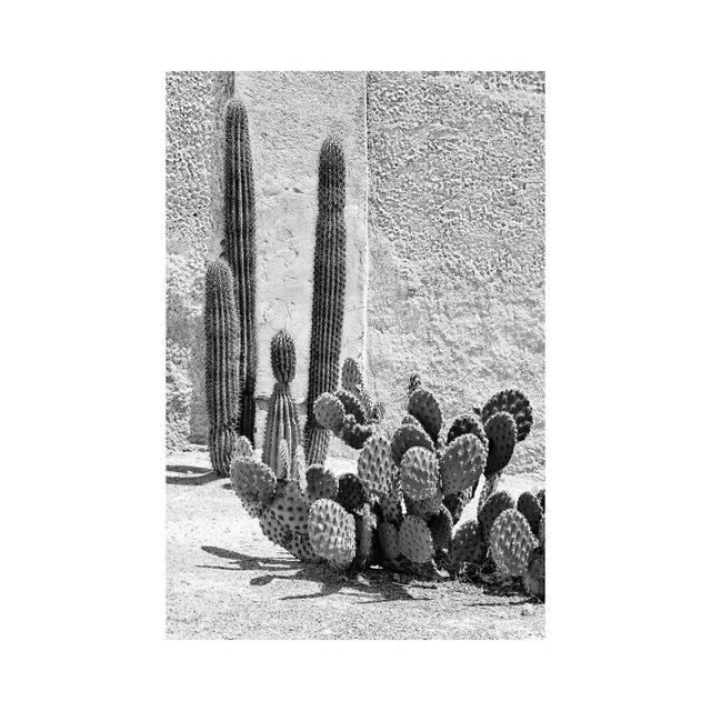 Black Arizona Series - Prickly Pear Cactus by Philippe Hugonnard - Wrapped Canvas Print Natur Pur Size: 152.4cm H x 101.6cm W x 3.81cm D on Productcaster.