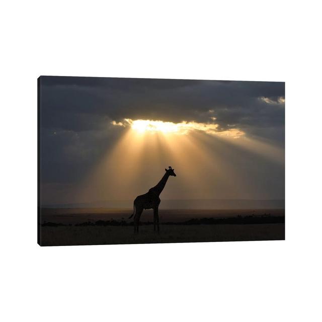 Sunset with Giraffe by Elmar Weiss - Wrapped Canvas Photograph Latitude Run Size: 30.48cm H x 45.72cm W x 1.91cm D on Productcaster.