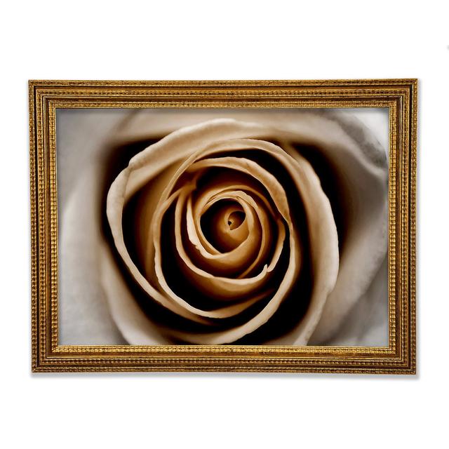 Single Picture Frame Art Prints Ebern Designs Size: 42.1cm H x 59.7cm W on Productcaster.