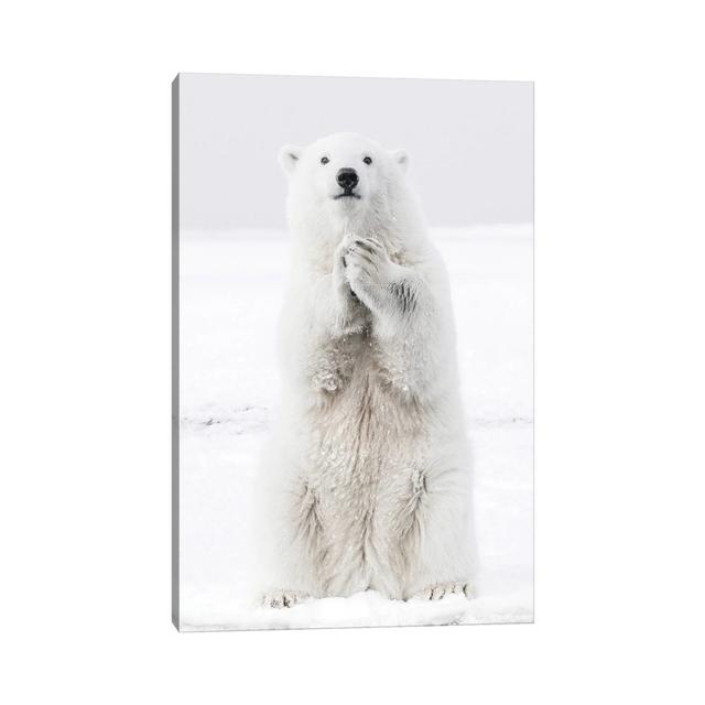 Polar Bear III by Karen Mandau - Wrapped Canvas Photograph World Menagerie Size: 45.72cm H x 30.48cm W x 1.91cm D on Productcaster.