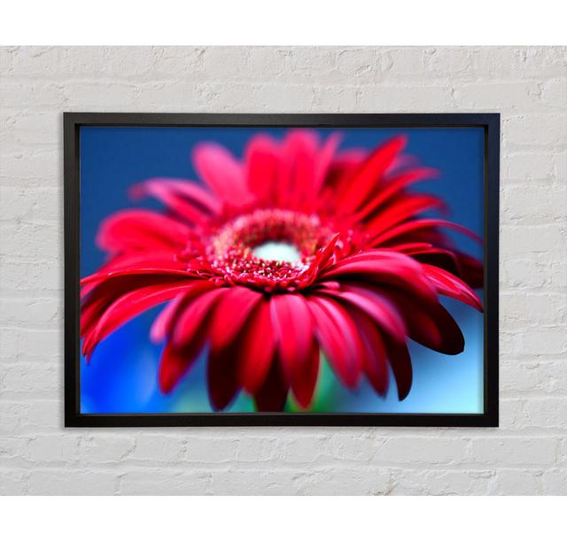 Fathers Day Flowers - Single Picture Frame Art Prints on Canvas Bright Star Size: 84.1cm H x 118.9cm W x 3.3cm D on Productcaster.