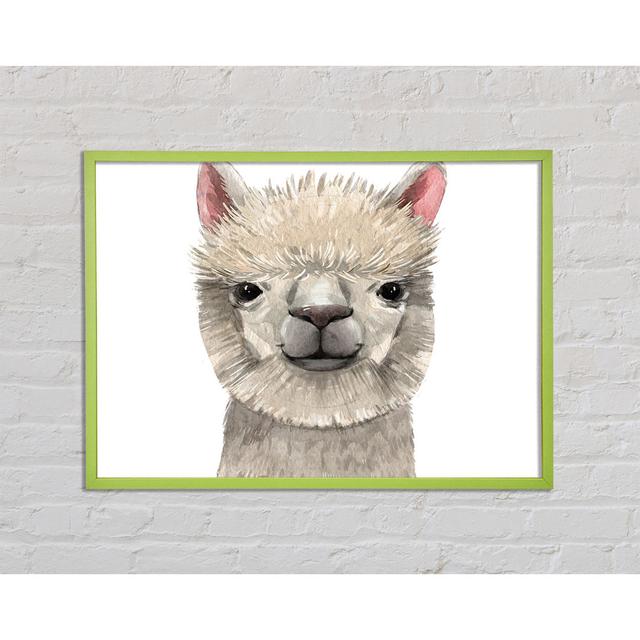 Plewak Llama Drama - Single Picture Frame Art Prints Bloomsbury Market Size: 21cm H x 29.7cm W x 2cm D on Productcaster.