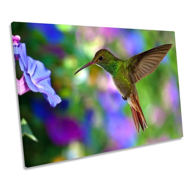 Beautiful Humming Bird - Wrapped Canvas Graphic Art Bay Isle Home Size: 50.8cm H x 76.2cm W x 2cm D on Productcaster.