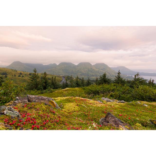 Kodiak Island Sunrise by Justinreznick - Print Alpen Home Size: 51cm H x 76cm W x 3.8cm D on Productcaster.