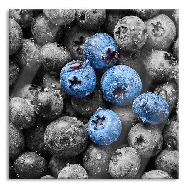 Blueberries with Water Droplets - Unframed Photograph on Glass Brayden Studio Colour: Blue/Gray, Size: 80cm H x 80cm W x 0.4cm D on Productcaster.