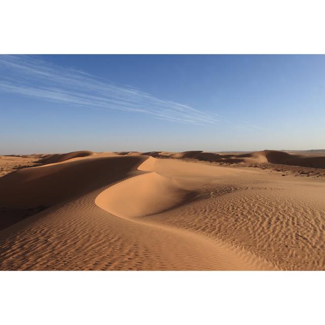 The Sahara Desert by Heckepics - Wrapped Canvas Print Natur Pur Size: 61cm H x 91cm W on Productcaster.