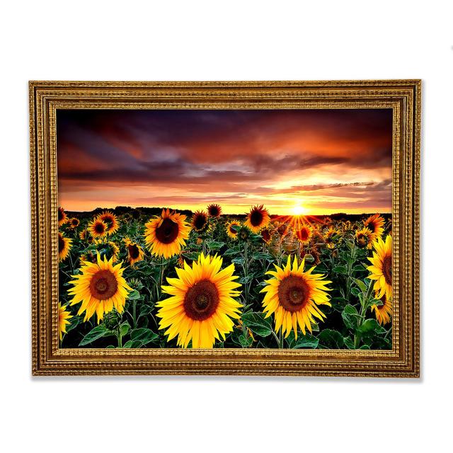 Gerahmter Fotodruck Magic Landscape Sunflower Field Sommerallee Größe: 59,1 cm H x 84,1 cm B on Productcaster.