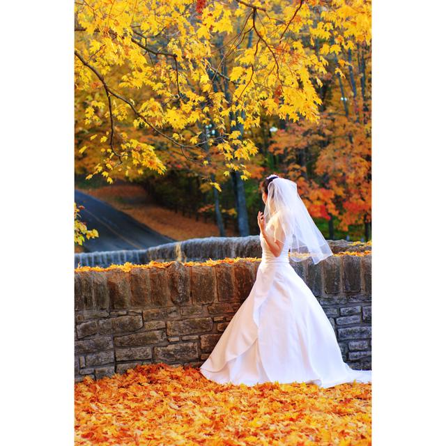 Bride In The Fall by Coldspring - Wrapped Canvas Print Alpen Home Size: 76cm H x 51cm W on Productcaster.