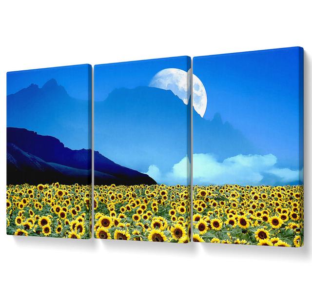 Field of Illusions - 3 Piece Wrapped Canvas Graphic Art August Grove Size: 101.6cm H x 203cm W on Productcaster.