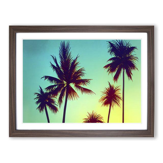 Stupendous Palm Trees - Picture Frame Graphic Art Bay Isle Home Frame Colour: Walnut, Size: 46cm H x 64cm W x 2cm D on Productcaster.