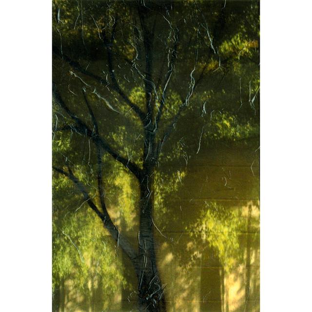 Shaded Reflection I - Wrapped Canvas Print Rosalind Wheeler Size: 91cm H x 61cm W x 3.8cm D on Productcaster.