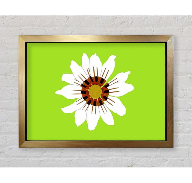 White Daisy Greens - Single Picture Frame Art Prints Bright Star Size: 59.7cm H x 84.1cm W on Productcaster.