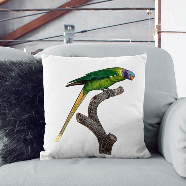 A Headed Parakeet by F. Levaillant Cushion with Filling East Urban Home Size: 40 x 40 cm, Backing Colour: Stone on Productcaster.