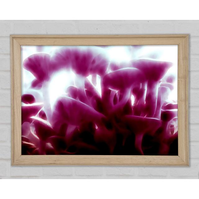 Vibrant Toad Stools - Single Picture Frame Print Brayden Studio Size: 84.1cm H x 118.9cm W x 1.5cm D on Productcaster.