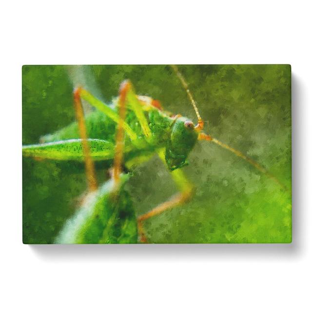 Grasshopper Vol.2 - Wrapped Canvas Graphic Art East Urban Home Size: 50cm H x 76cm W x 3cm D on Productcaster.