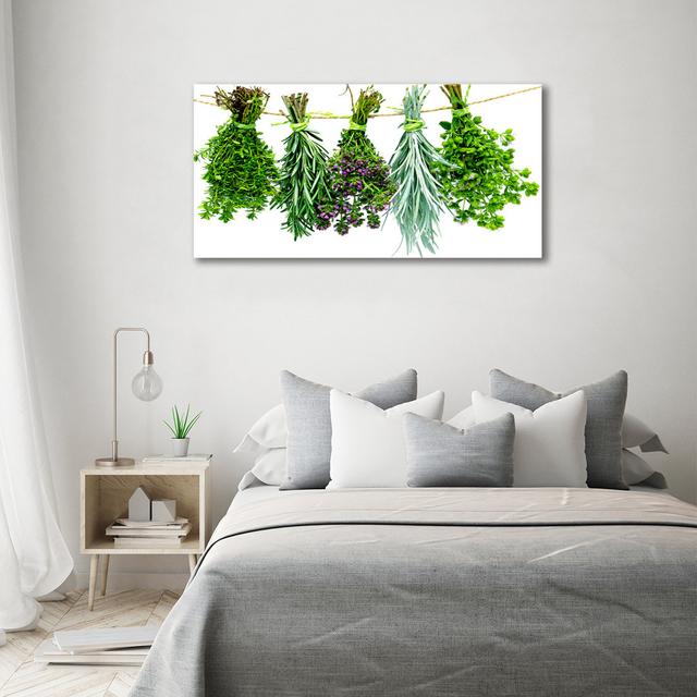 Herbs on a String - Wrapped Canvas Art Prints Ebern Designs on Productcaster.