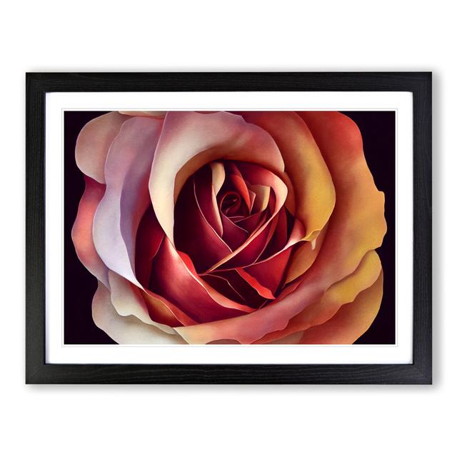 Appealing Rose Flower - Picture Frame Graphic Art 17 Stories Size: 25cm H x 34cm W x 2cm D, Frame Colour: Black Framed on Productcaster.