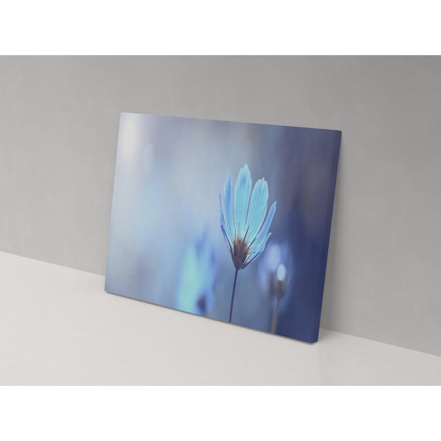 Bloom - Wrapped Canvas Graphic Art ClassicLiving Size: 102cm H x 153cm W x 4cm D on Productcaster.