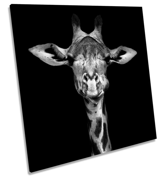 Z1611 Giraffe Face - Wrapped Canvas Painting 17 Stories Size: 60cm H x 60cm W x 2cm D on Productcaster.