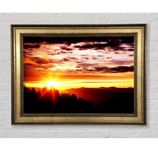 Sonnenaufgang über der Baumgrenze - Druck Bright Star Größe: 84,1 cm H x 142,2 cm B x 8 cm T on Productcaster.