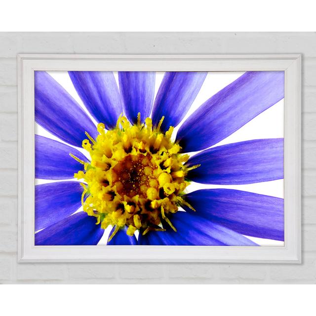 Purple Petal Beauty - Print Ebern Designs Size: 59.7cm H x 84.1cm W x 1.5cm D, Format: White Framed Paper on Productcaster.