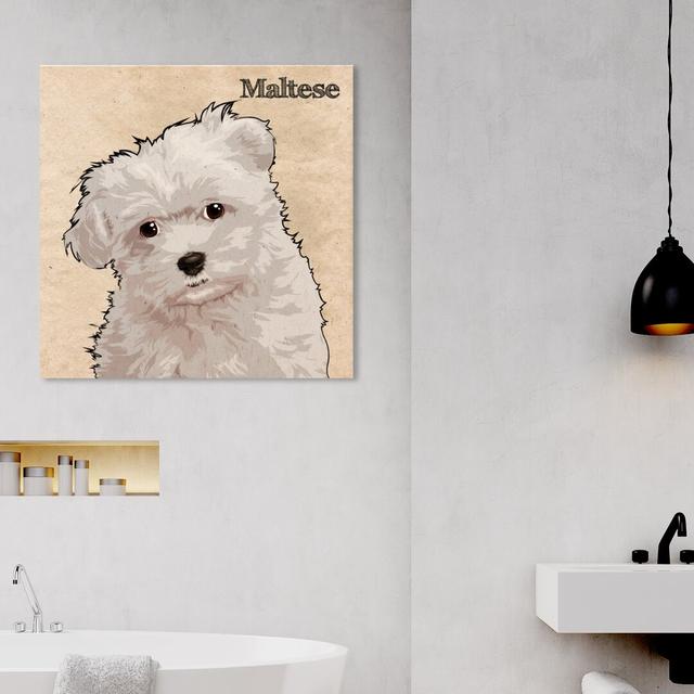 Maltese by Oliver Gal - Wrapped Canvas Print East Urban Home Size: 40.6cm H x 40.6cm W on Productcaster.