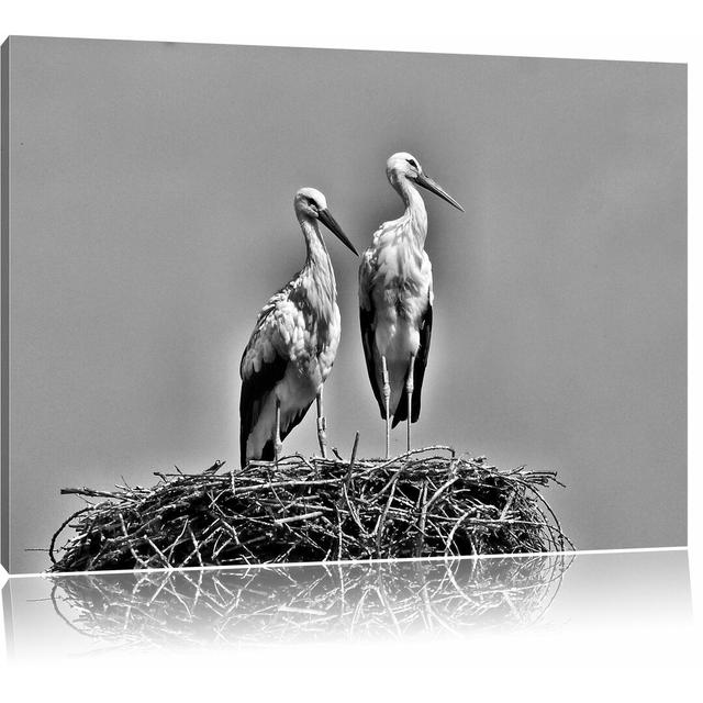 Leinwandbild Zwei stolze Störche im Nest in Monochrom East Urban Home Größe: 60 cm H x 80 cm B on Productcaster.