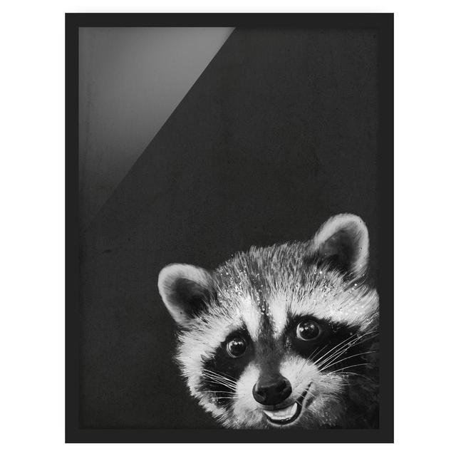 Illustration Raccoon Black White - Picture Frame Graphic Art Rosalind Wheeler Size: 55cm H x 40cm W x 2cm D, Frame Option: Black Framed on Productcaster.