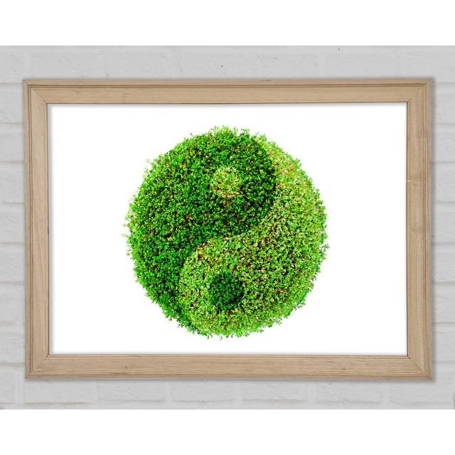 Ying And Yang - Single Picture Frame Art Prints Ebern Designs Size: 21cm H x 29.7cm W on Productcaster.