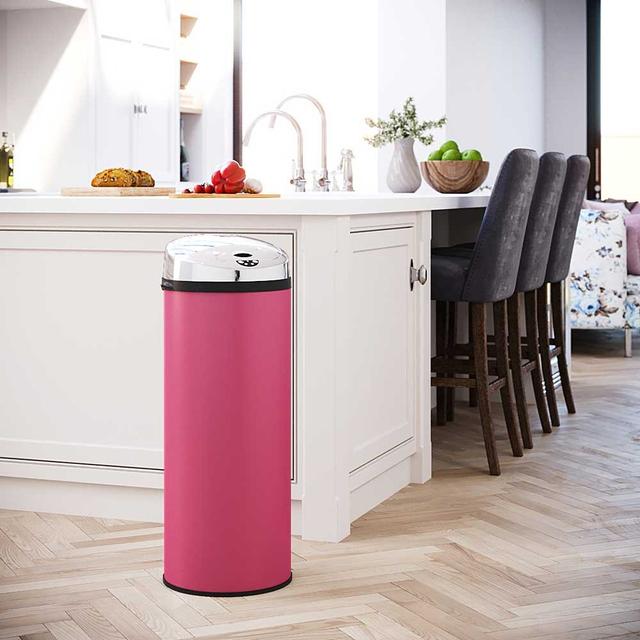 Ladson Steel Motion Sensor Rubbish Bin Symple Stuff Colour: Pink, Capacity: 50L on Productcaster.