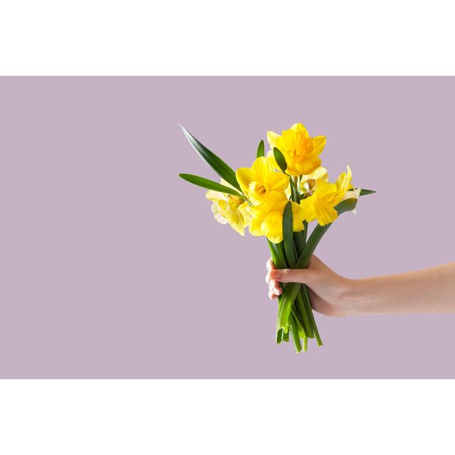 A Bouquet of Daffodil by Svetlana Vorontsova - Wrapped Canvas Photograph 17 Stories Size: 81cm H x 122cm W on Productcaster.