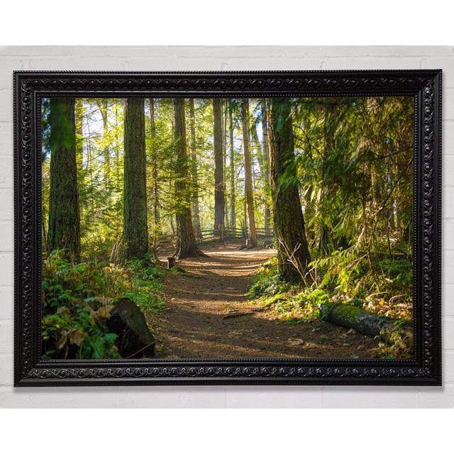 British Woodland Walk Trale Framed Print Union Rustic Format: Black Framed Paper, Size: 84.1cm H x 118.9cm W x 3cm D on Productcaster.