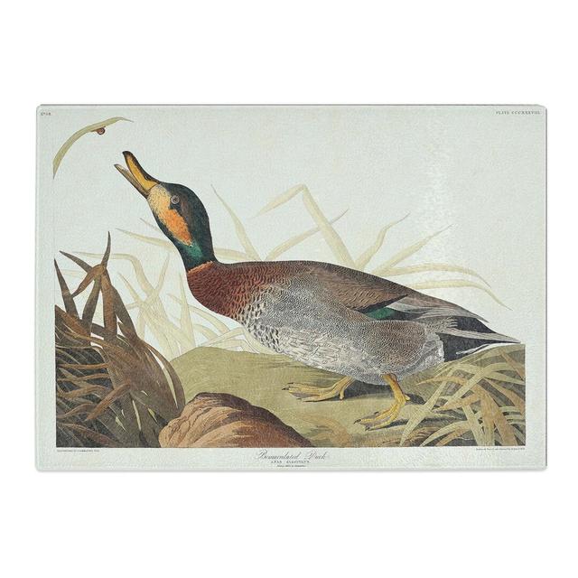 Tempered Glass Bemaculated Duck by John James Audubon Chopping Board East Urban Home Size: 28.5cm W x 20cm L on Productcaster.