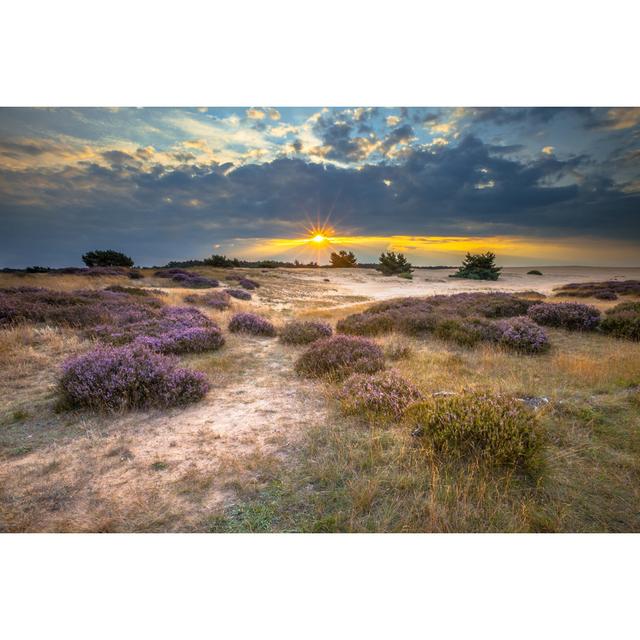 Botkins Sunset over Heathland - Wrapped Canvas Photograph Latitude Run Size: 81cm H x 122cm W x 3.8cm D on Productcaster.