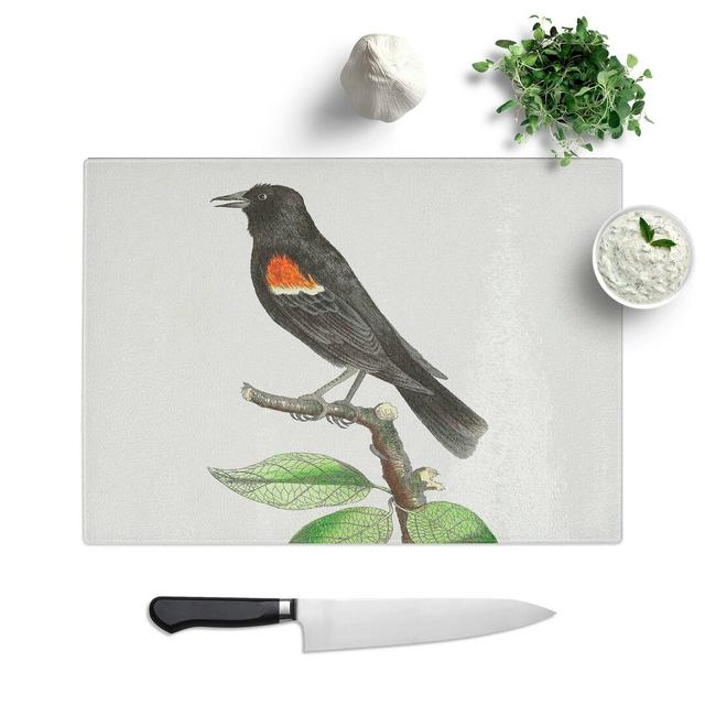 Tempered Glass Winged Starling Bird by George Shaw Chopping Board East Urban Home Size: 39 cm W x 28.5 cm L on Productcaster.