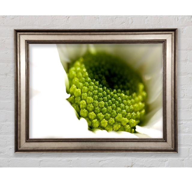 Macro Centre of a Daisy - Single Picture Frame Art Prints Bright Star Size: 59.7cm H x 84.1cm W on Productcaster.