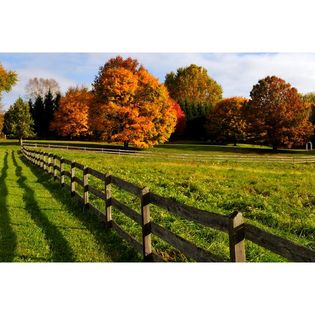 Autum Trees In A Meadow by Johnrf2 - No Frame Art Prints on Canvas Latitude Run Size: 61cm x 91cm W on Productcaster.