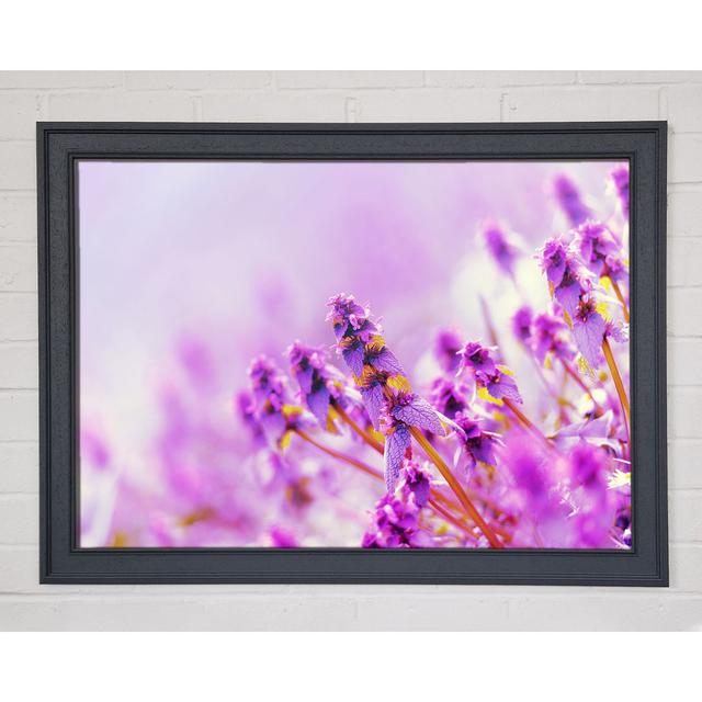 Leinwandbild Lilac Flowers In The Mist ModernMoments Größe: 84,1 cm H x 118,9 cm B x 1,5 cm T, Format: Poster mit weißem Rahmen on Productcaster.