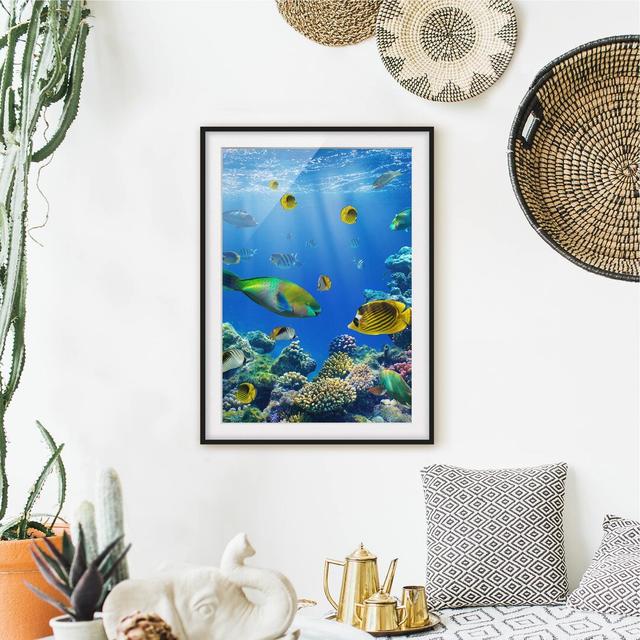 'Underwater Lights' - Picture Frame Photograph Print on Paper East Urban Home Frame Option: Matt black, Size: 70cm H x 50cm W x 2cm D on Productcaster.