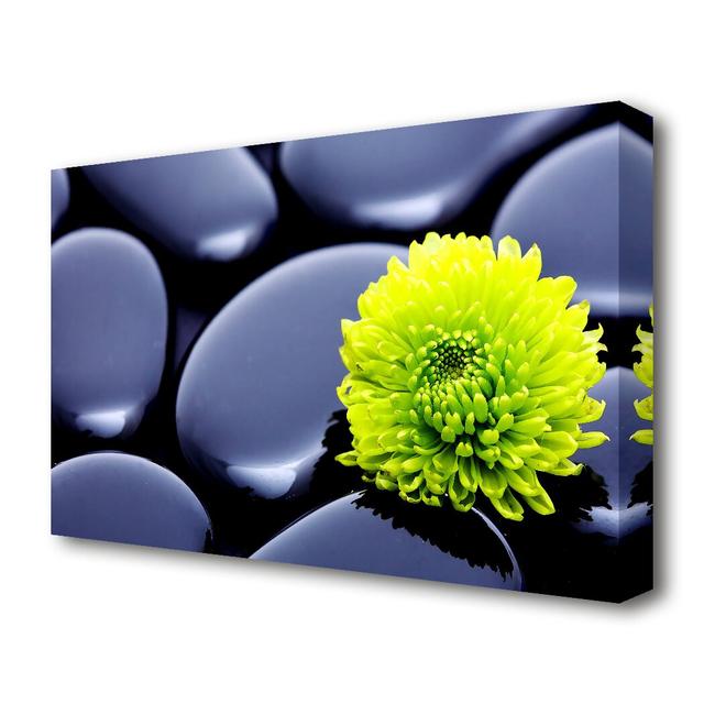 Black Zen Stones And A Yellow Mum Ethnic Canvas Print Wall Art East Urban Home Size: 101.6 cm H x 142.2 cm W on Productcaster.