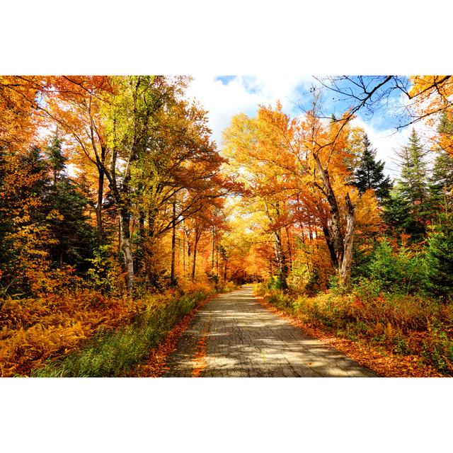 Autumn Road In New Hampshire by DenisTangneyJr - Wrapped Canvas Art Prints Alpen Home Size: 20cm H x 30cm W x 3.8cm D on Productcaster.