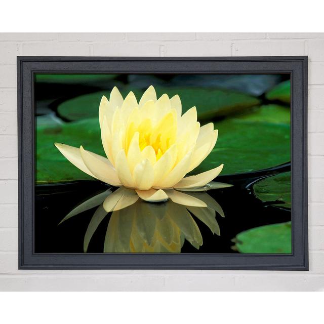 Single Picture Frame Art Prints Ebern Designs Size: 59.7cm H x 84.1cm W on Productcaster.