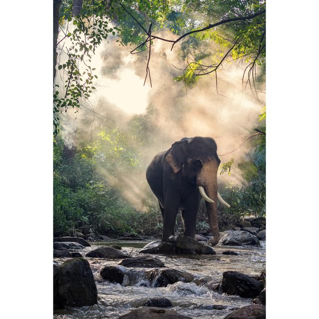 Wild Elephant in the River Image Contains Grain and Noise - Wrapped Canvas Photograph Ebern Designs Size: 76cm H x 51cm W on Productcaster.