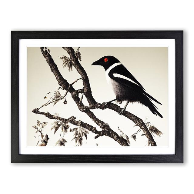 Sublime Magpie Bird - Picture Frame Graphic Art Marlow Home Co. Frame Colour: Black Framed, Size: 46cm H x 64cm W x 2cm D on Productcaster.