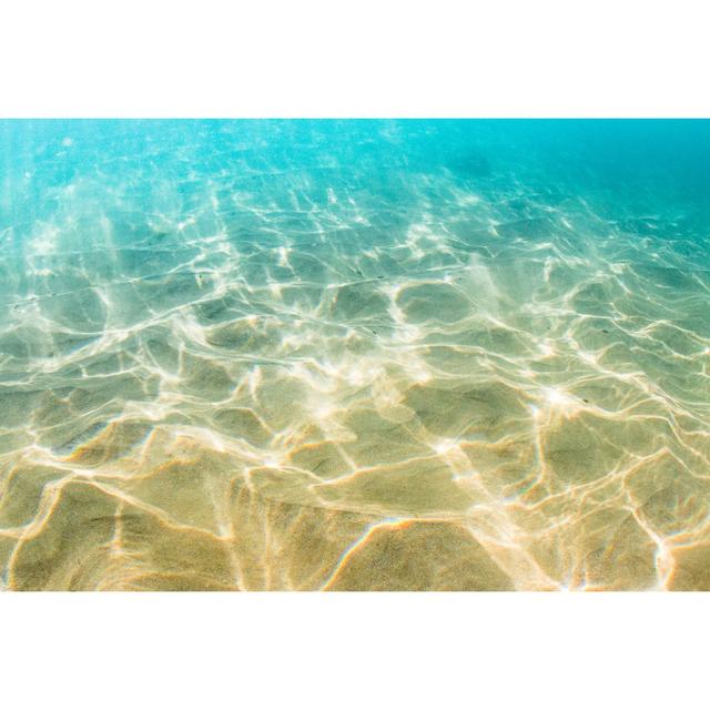 Underwater by IanMcDonnell - Wrapped Canvas Print Latitude Run Size: 51cm H x 76cm W on Productcaster.